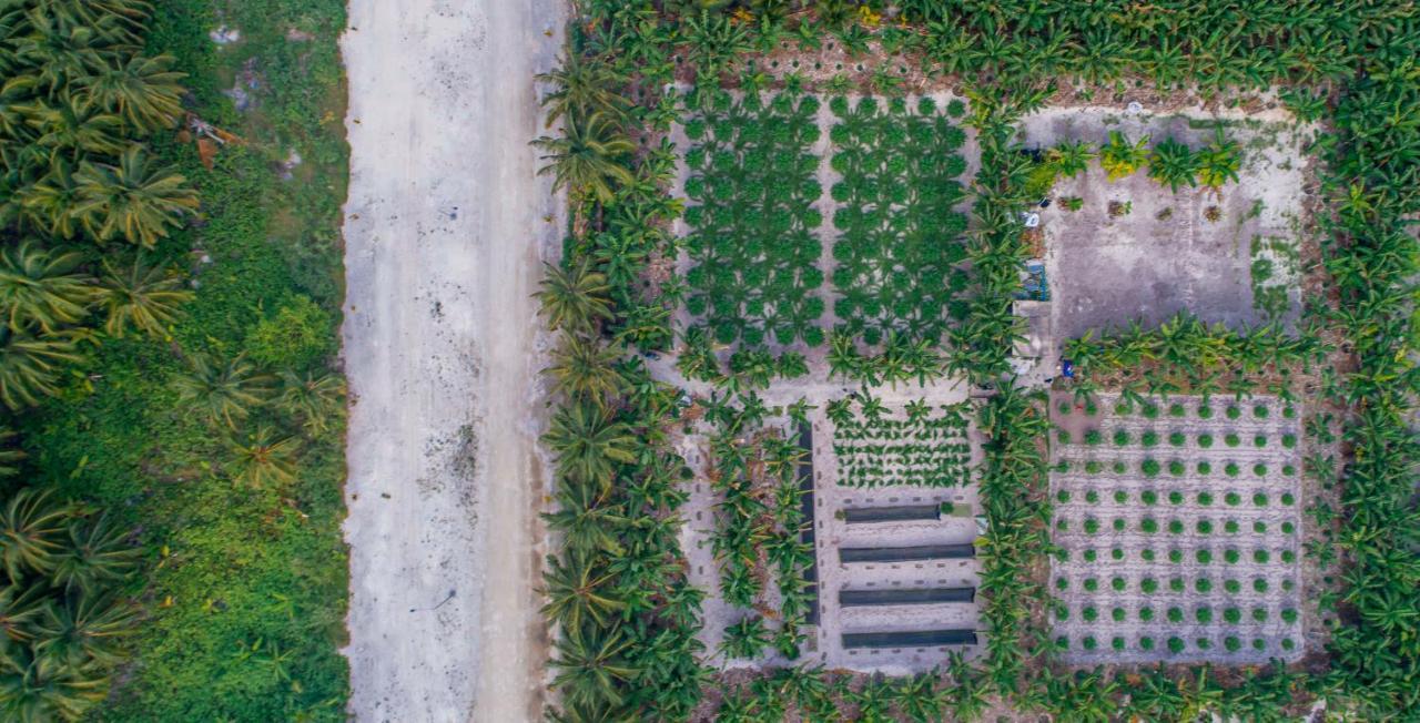 Sunview Residence Kaashidhoo Luaran gambar