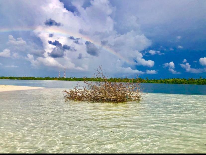Sunview Residence Kaashidhoo Luaran gambar